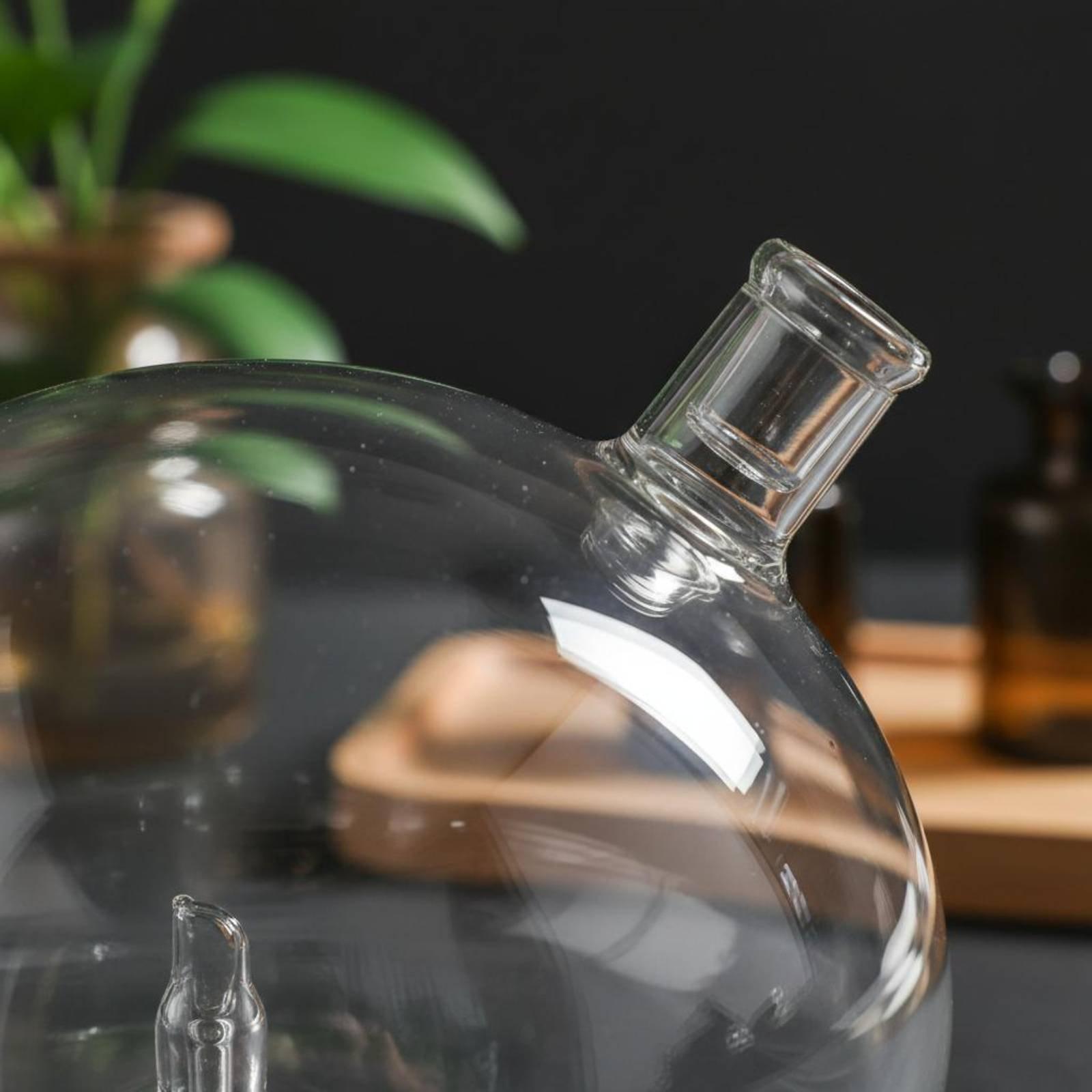 디퓨저 병 물이 없는 향수 디퓨저용 유니버설 핏 유리  - Home Fragrance Bottle 리뷰 및 가격